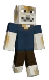 TidenCatte's Minecraft skin wearing the Migrator cape
