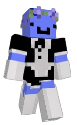 Minecraft skin — Classic model