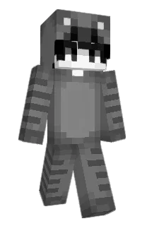 Front of lrone's skin