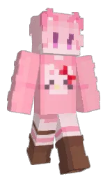Minecraft skin — Classic model