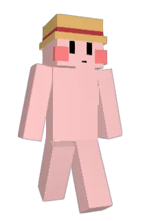 Front of Minecraft skin
