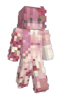 Front of leibae's skin