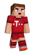 TarekFleck