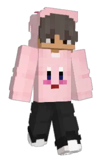 Front of Nexoosh's skin