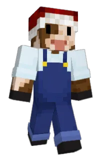 Front of MaxiiMule's skin