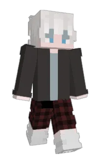 Front of Fregrenzy's skin