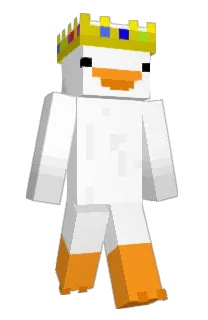 Front of t0phys's skin