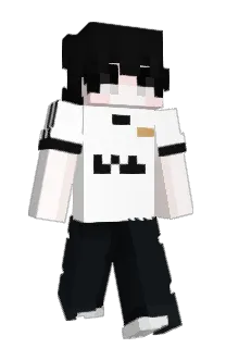 Front of Aventureiro's skin
