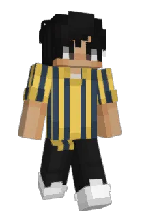 Front of CG378's skin
