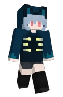 Front of AcceleDrome's skin