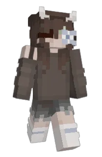 Front of B1vke's skin