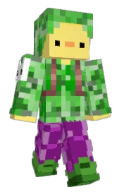 Skin preview
