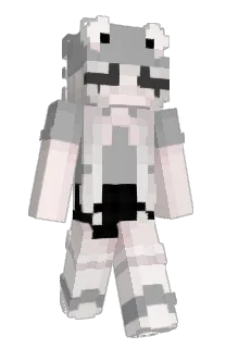 Front of CAY1A's skin
