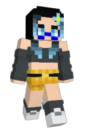 Skin preview