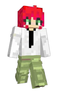 Front of Minecraft skin