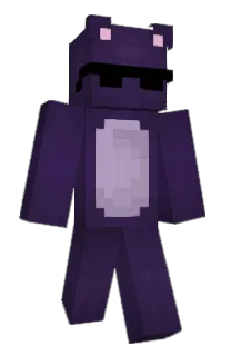 Front of Nycosz's skin