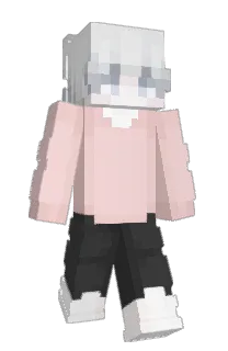 Front of Conjectur's skin