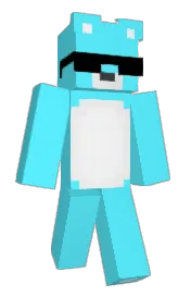 Skin preview