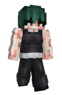 Front of 747z's skin