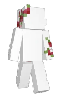 Front of ZynxV5's skin