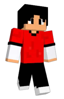Front of GoodApo's skin