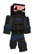 PVP1G