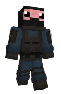 Front of PVP1G's skin