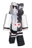 ddddnn Minecraft avatar full body