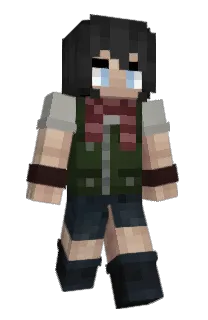 Front of Hectic8207's skin