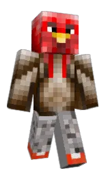 gray and dusty gray Minecraft skin — Classic model