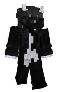 Front of Fireleo512's skin