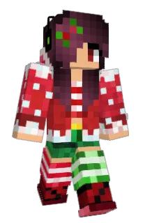 nicloose's Minecraft skin