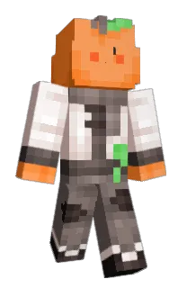 justinkim's Minecraft skin