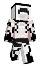 white and black Minecraft skin — Classic model