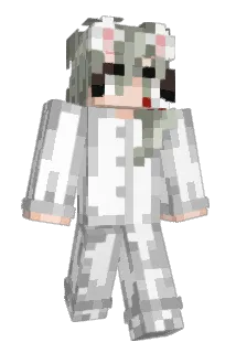 ddg08 Minecraft avatar full body
