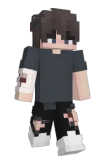 ddogee Minecraft avatar full body