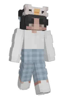 ddoong_2 Minecraft avatar full body