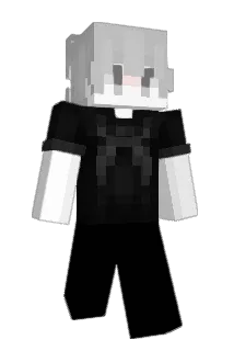 ddqddq Minecraft avatar full body