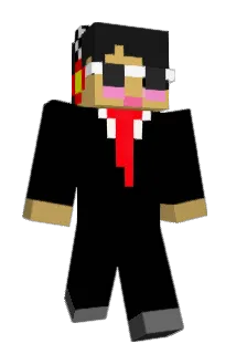 dds35 Minecraft avatar full body