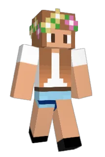 ddsanss Minecraft avatar full body