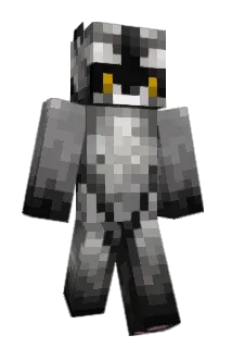 ddumbfuck Minecraft avatar full body