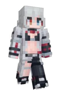 ddxls Minecraft avatar full body