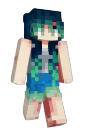 Skin preview