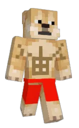 Classic Minecraft skin