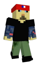 Skin preview