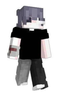 Front of Prii's skin