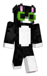 black and white Minecraft skin — Classic model