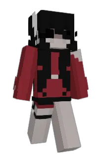 Front of Minecrfter's skin