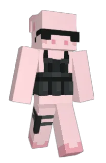 Front of aloose's skin