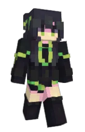Skin preview
